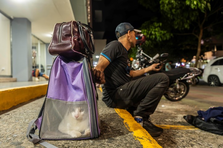 Un hombre junto a su gato espera a las afueras de un edificio luego del terremoto de magnitud 7,7. Foto EFE